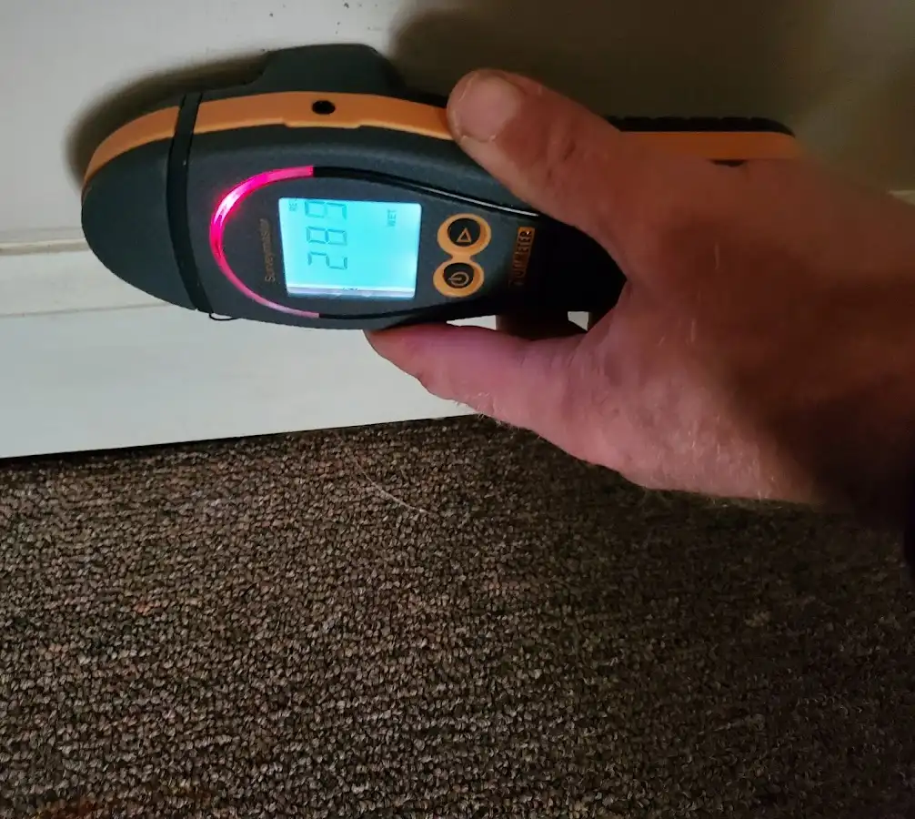 Moisture detection at baseboard during Mold Inspection & Testing in Milwaukie